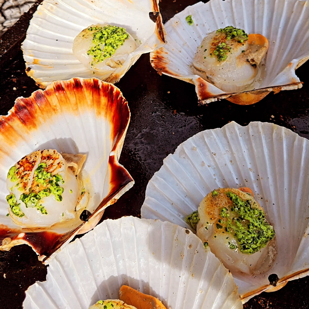 Brasero Traiteur Braises et Copains Perpignan